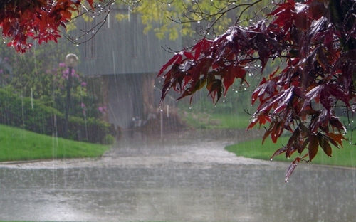 Thời tiết hôm nay (8-9): Nhiều nơi có mưa rào và dông vào chiều tối 